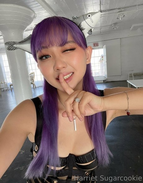 Harriet Sugarcookie