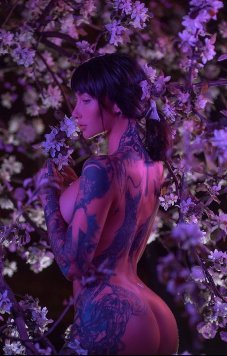 Angelica Anderson
