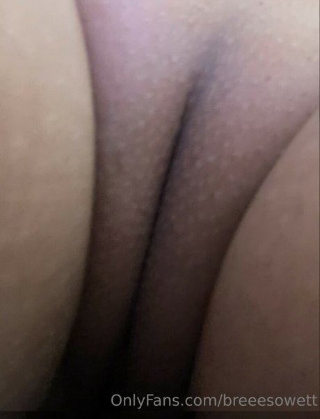 Breeesowet