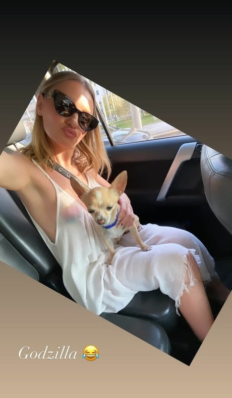 Alexandra Stan