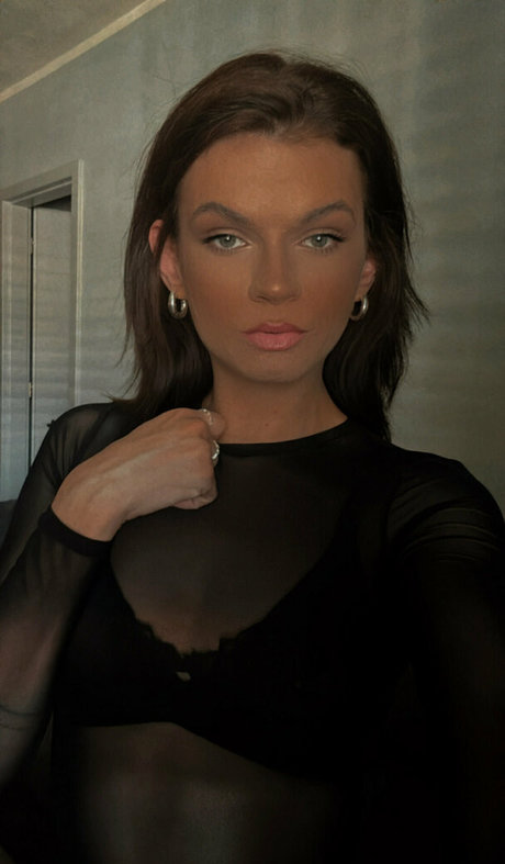 Ritzytrans