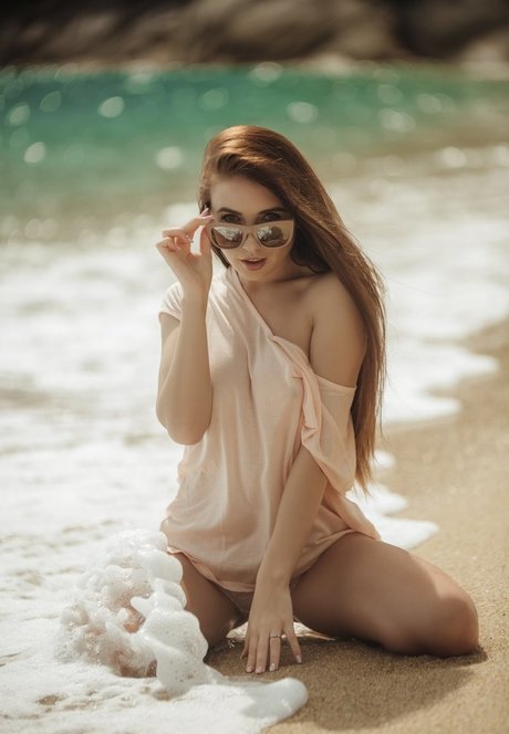 Niemira