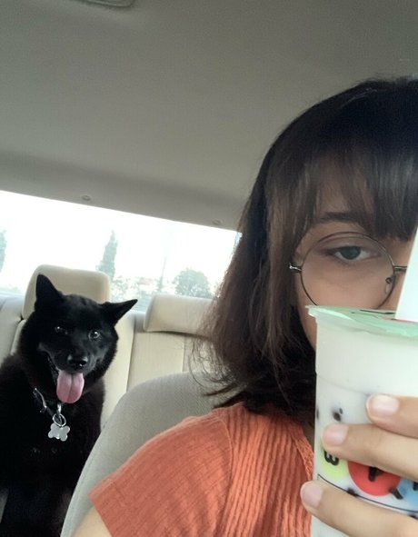 Glassesgf