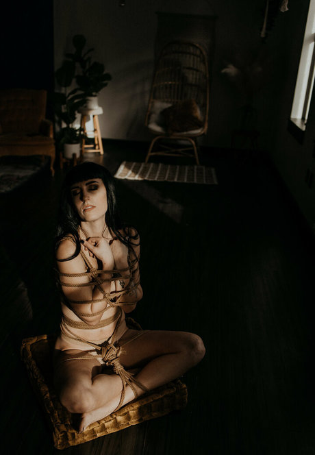 Akatsukishibari