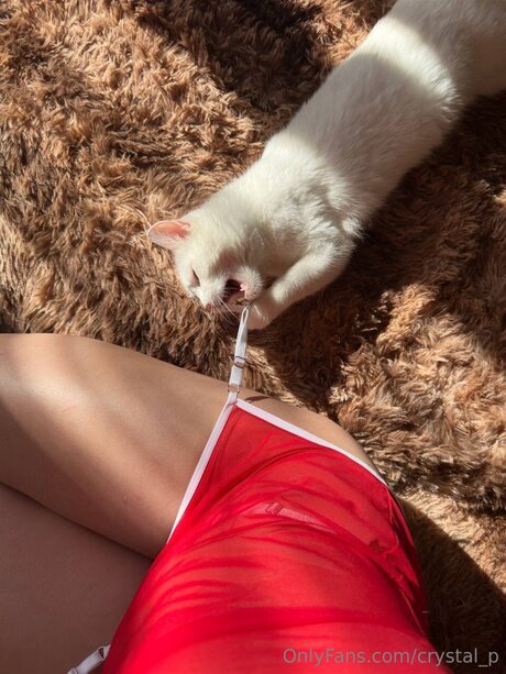 Foto desnuda filtrada de OnlyFans de Crystal P