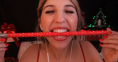 FrivolousFox ASMR