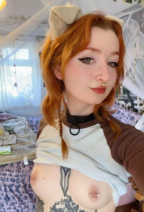 Starryfawnn