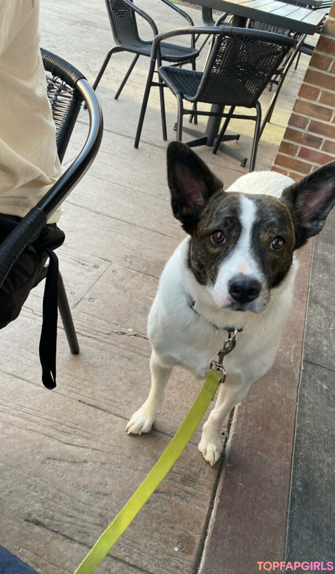 Foto desnuda filtrada de OnlyFans de Vixenshelbyfree #50 Foto desnuda filtrada de OnlyFans de Vixenshelbyfree #50