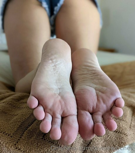 Loveleearches