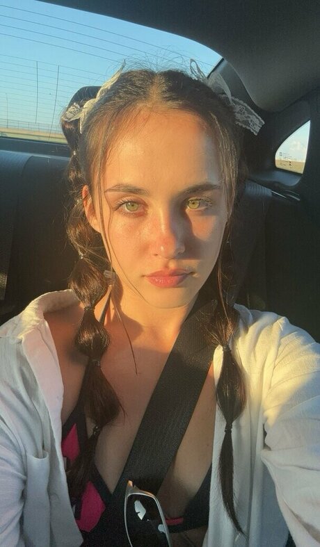 Daisy Pheonix
