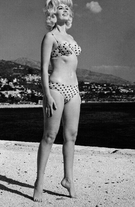 Vintage Sexy Celebs