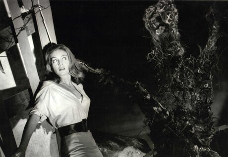Vintage Sexy Celebs