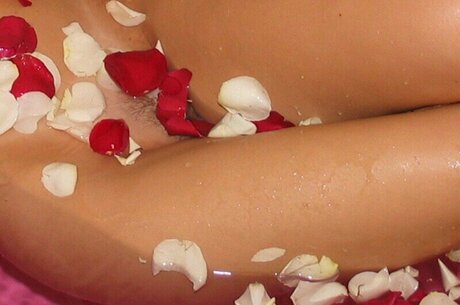 Southern-Charms Reese