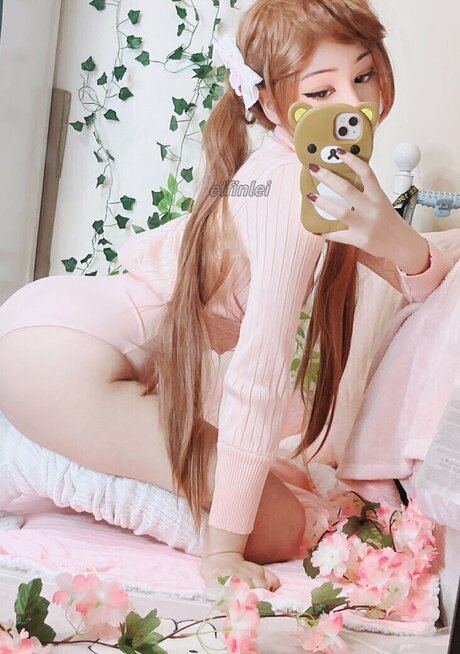 Elfinlei