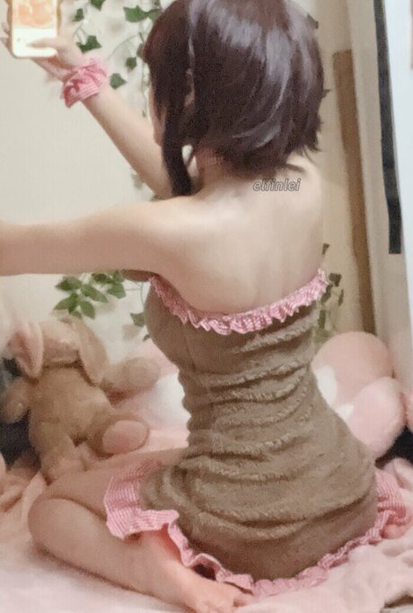 Elfinlei