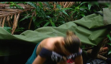 Ich bin ein Star – Holt mich hier raus!