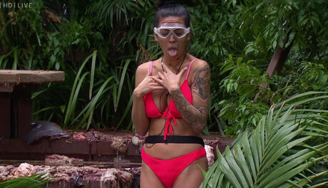 Ich bin ein Star – Holt mich hier raus!