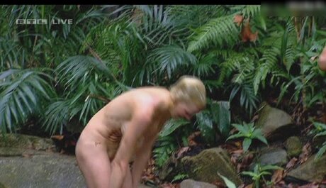 Ich bin ein Star – Holt mich hier raus!