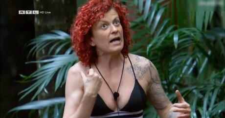 Ich bin ein Star – Holt mich hier raus!