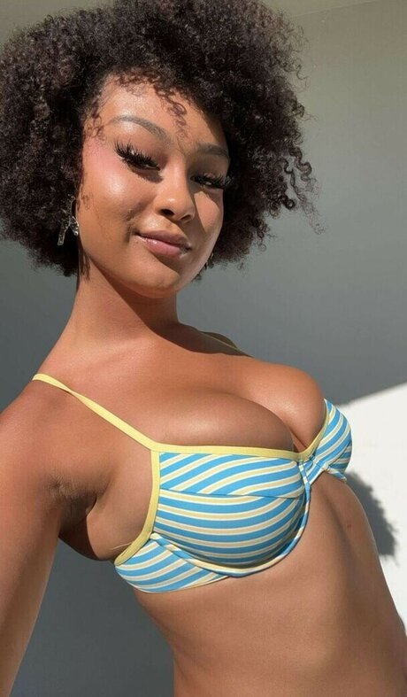 Veondremitchell