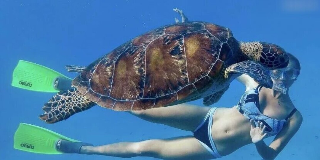 Foto desnuda filtrada de OnlyFans de Prominent #1206