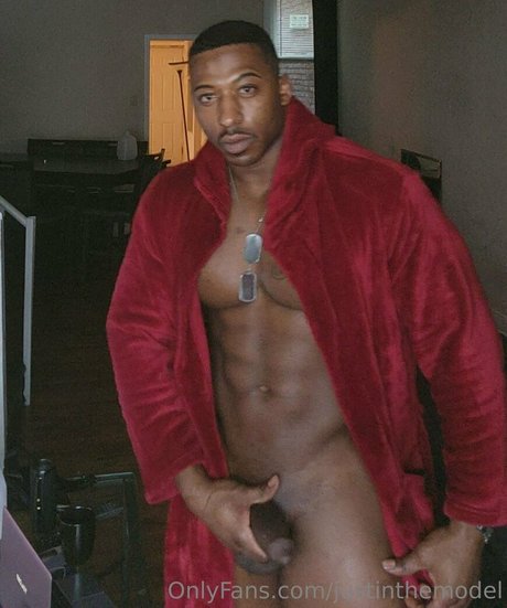 Justinthemodel