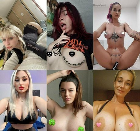 Hollyclue
