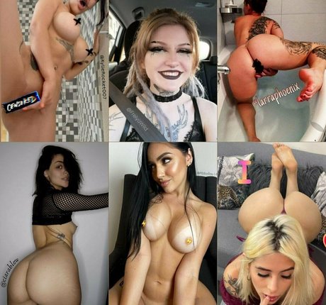 Hollyclue