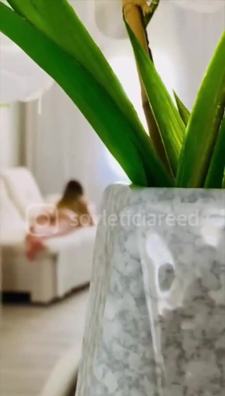 Foto desnuda filtrada de OnlyFans de Leticia Reed