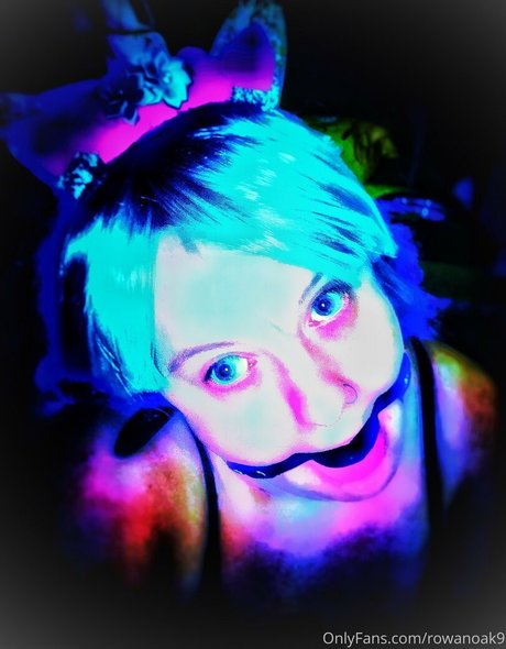 Anarchadyke