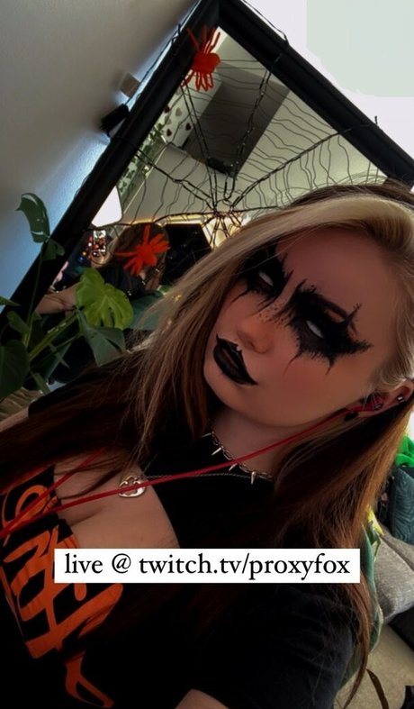 Proxyfox