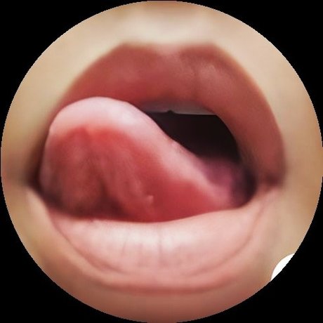 Vocali Erotici