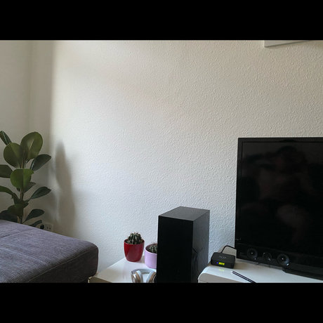 Foto desnuda filtrada de OnlyFans de Alex Vega