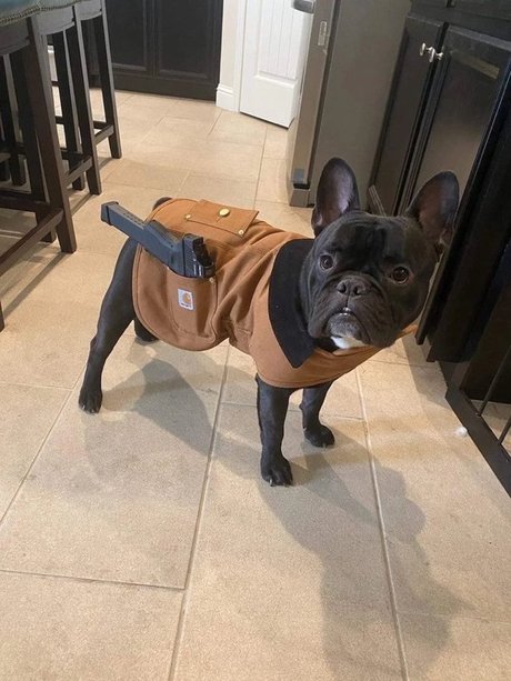 Lil Orlando
