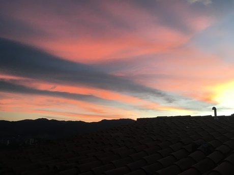 Avila Medellin