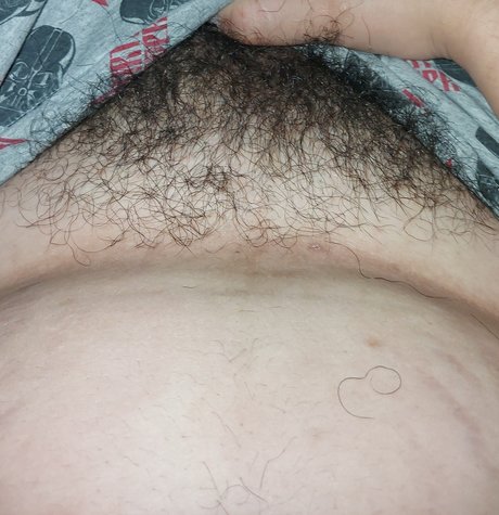 Gordinho Safado