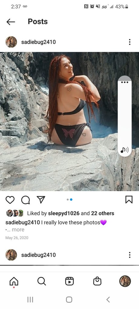 Sadiebug