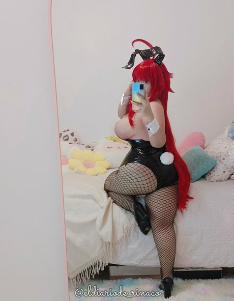Eldiariode_rinaco