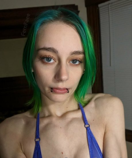 Fernfaeefree