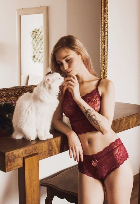 Sasa