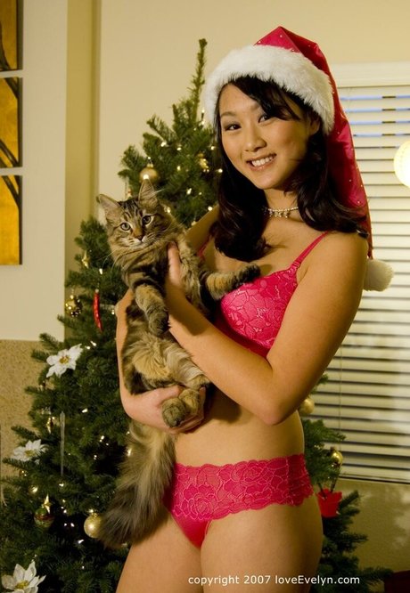 Evelyn Lin