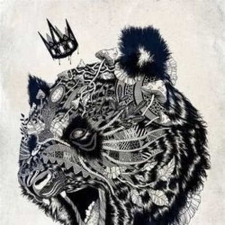 The1kingpanda