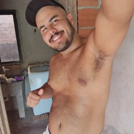 Urso Rebelde 