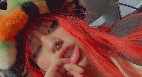 Pola