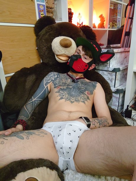 Pup Nox