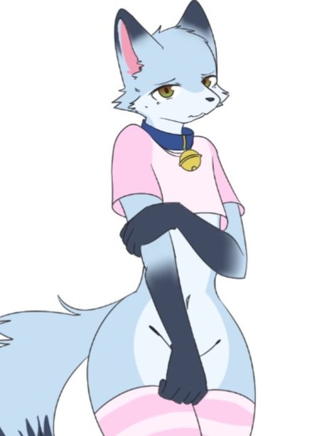 Puppy