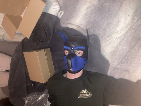 Foto desnuda filtrada de OnlyFans de Archie The Pup