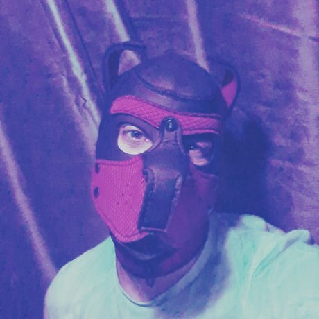 Puploki