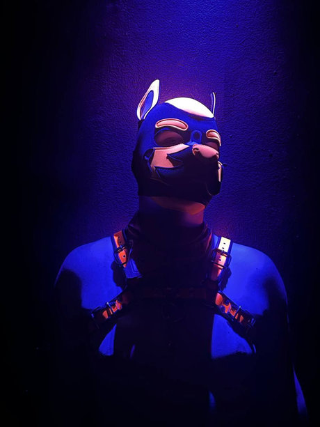 Foto desnuda filtrada de OnlyFans de Quentin The Pup