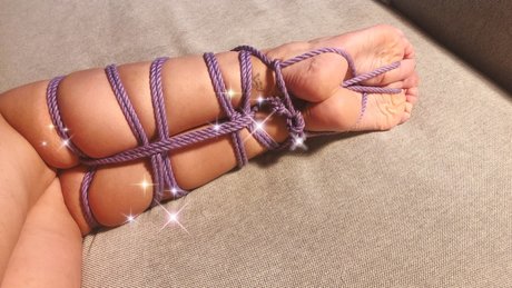 Shibari Babe
